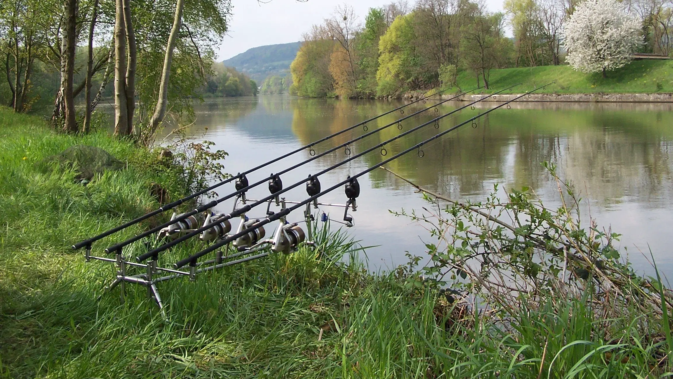 Karper Aas Verkoop -Karper Aas Verkoop 10