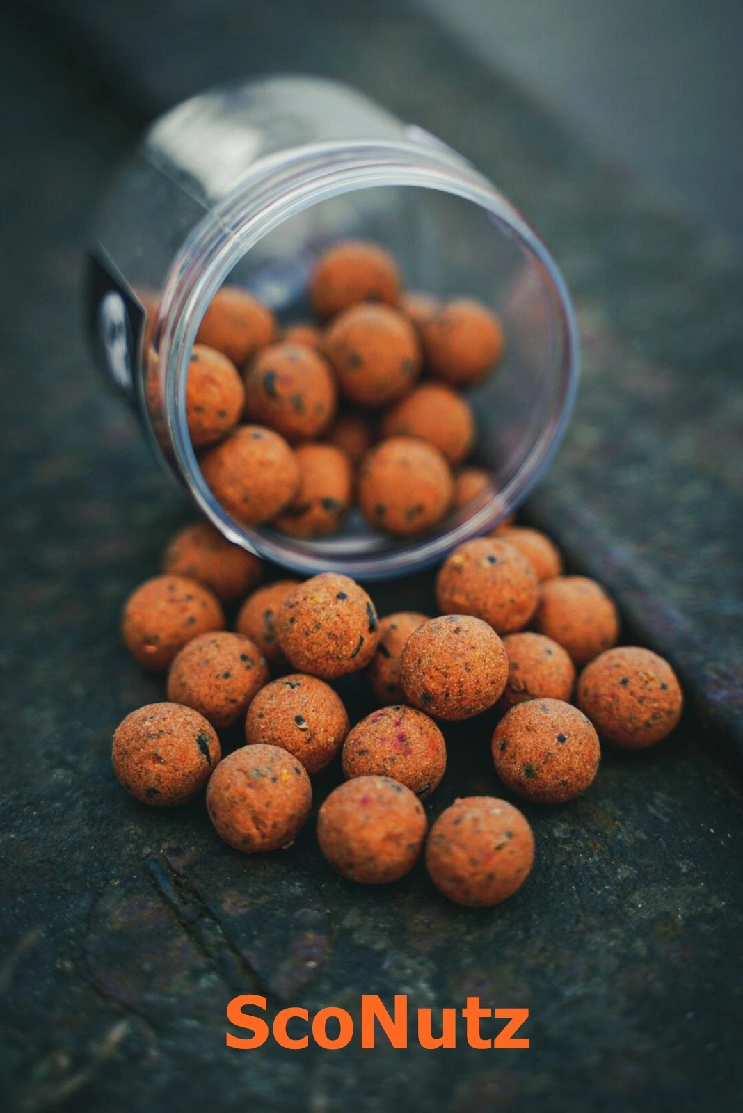 BFP Baits Wafters 3 BFP Baits Wafters - Afbeelding 3