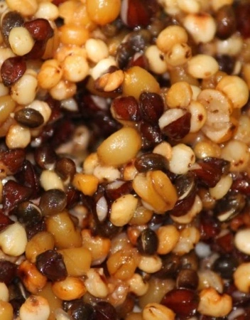 BFP Baits Zadenmix Kant En Klaar - Bulk 1 BFP Baits Zadenmix Kant En Klaar - Bulk