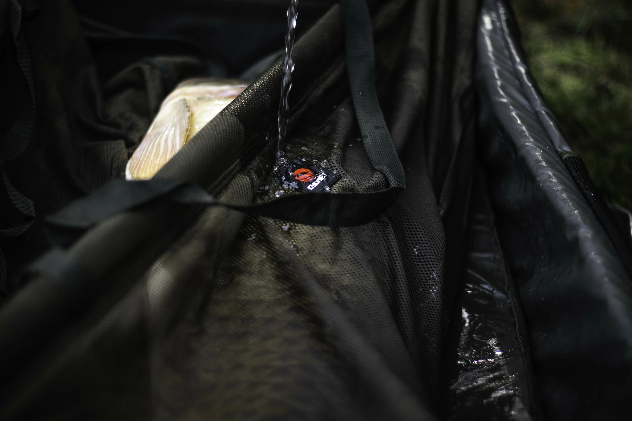 Cygnet Carp Retention Weigh Sling 5 Cygnet Carp Retention Weigh Sling - Afbeelding 5