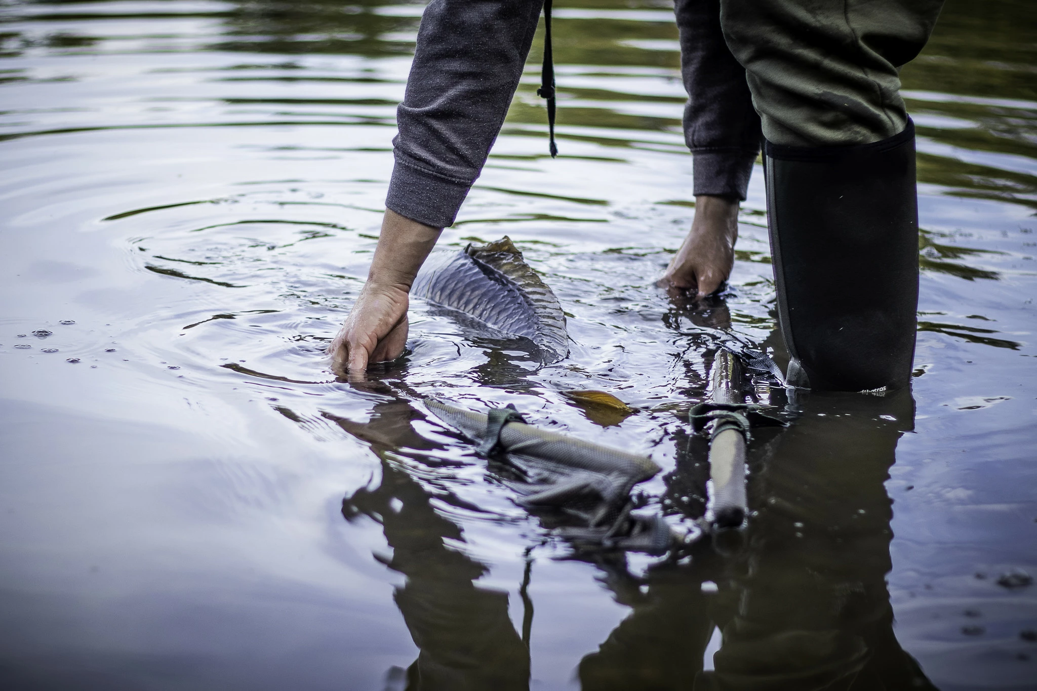 Cygnet Carp Retention Weigh Sling 6 Cygnet Carp Retention Weigh Sling - Afbeelding 6