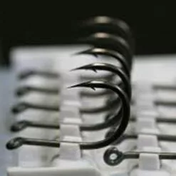 Karper Aas Verkoop -Karper Aas Verkoop image 952