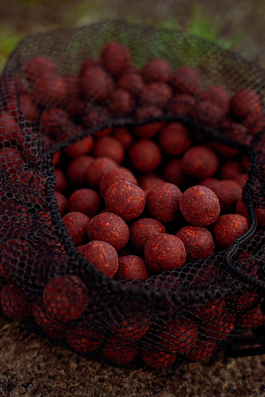 BFP Baits Spicy Temptation NIEUW !! 2 BFP Baits Spicy Temptation NIEUW !! - Afbeelding 2